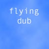 Flying Dub_image